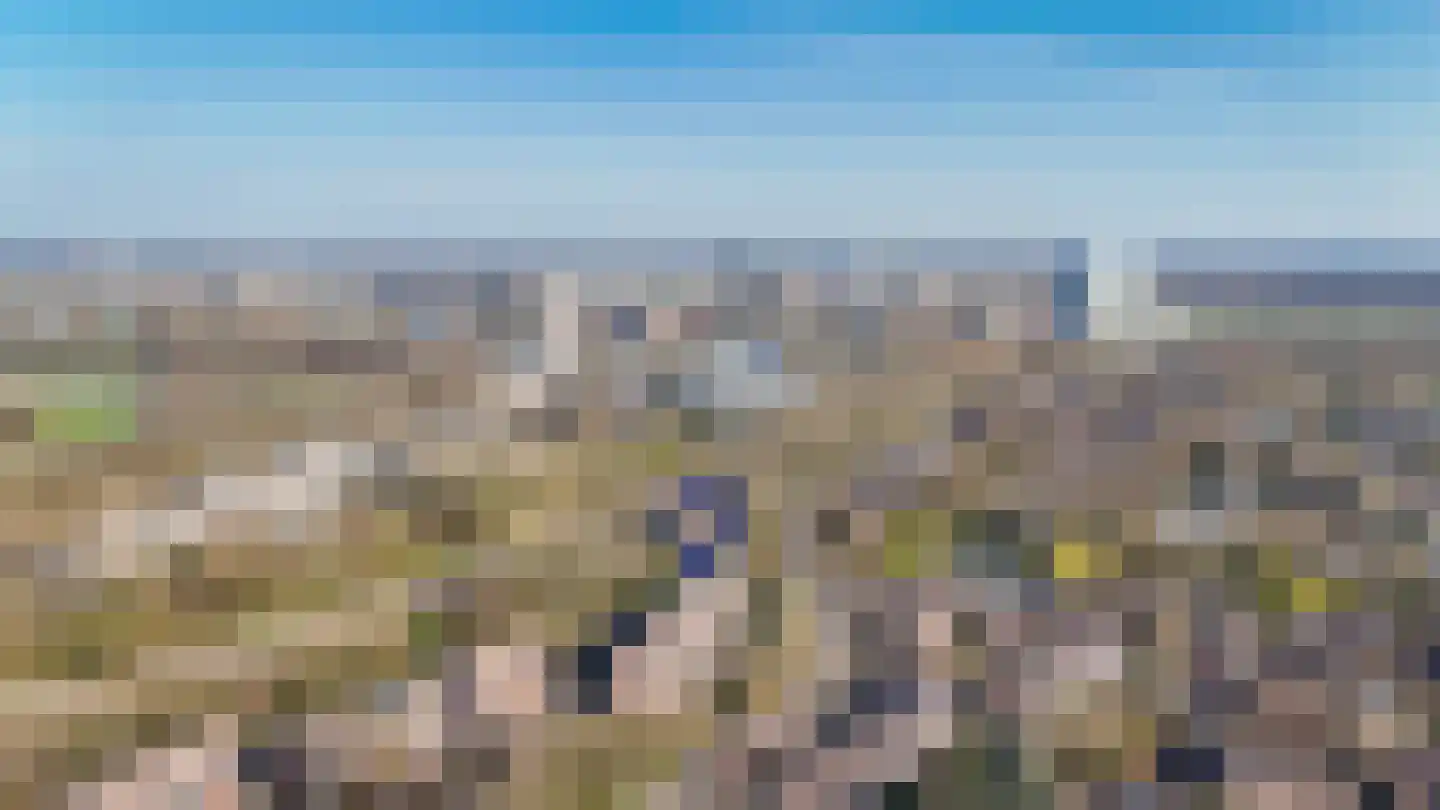 Albert van Dalsumlaan 865 Utrecht thumbnail 37