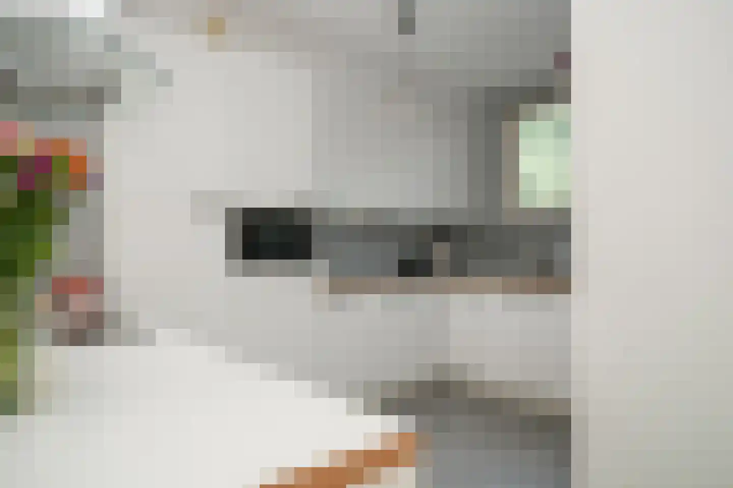 Albert van Dalsumlaan 91 Utrecht thumbnail 12