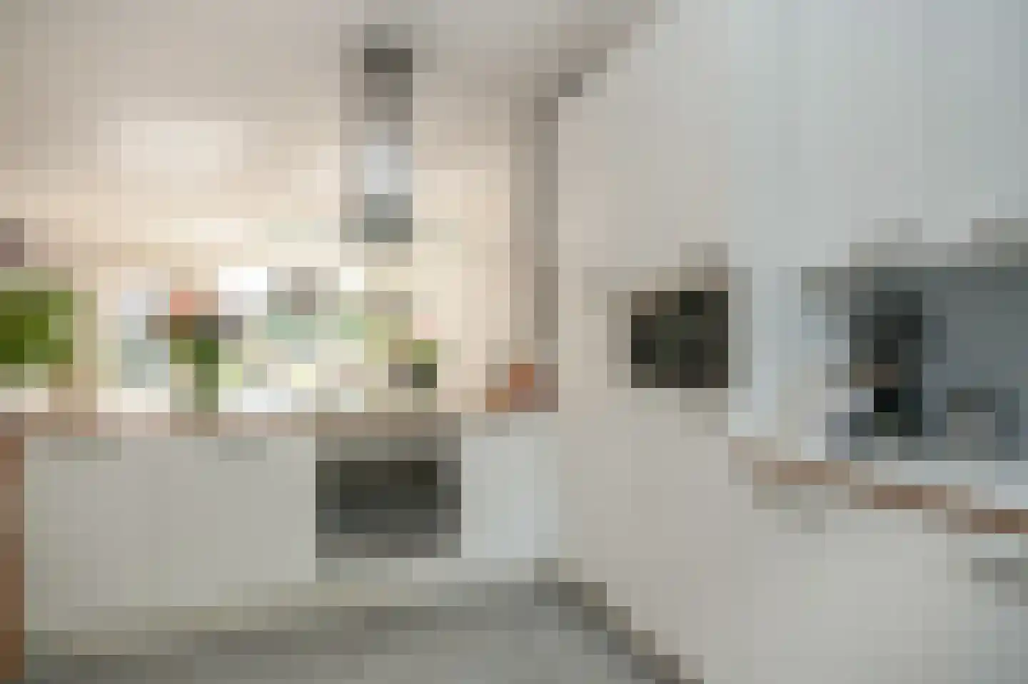 Albert van Dalsumlaan 91 Utrecht thumbnail 13