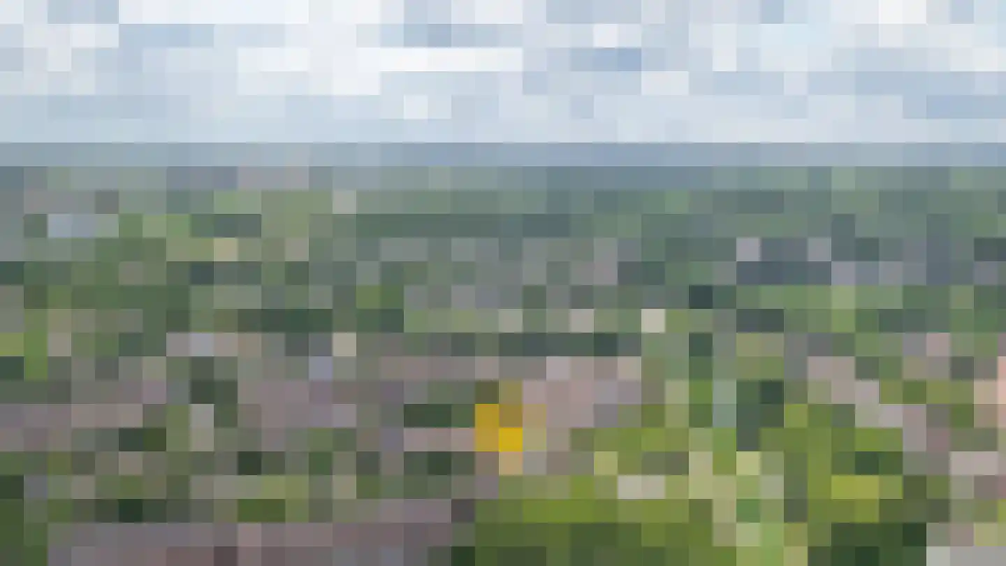 Albert van Dalsumlaan 91 Utrecht thumbnail 35