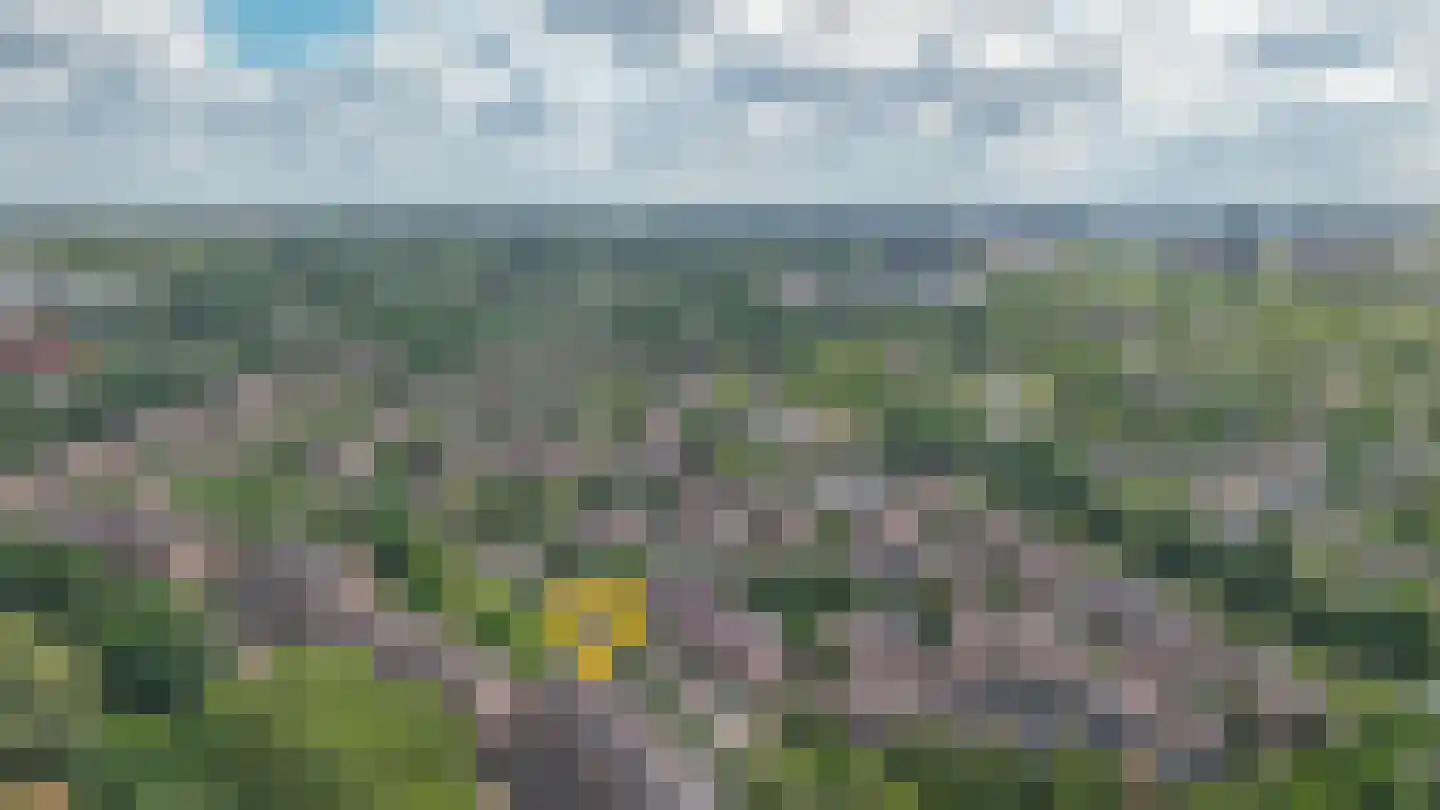 Albert van Dalsumlaan 91 Utrecht thumbnail 36