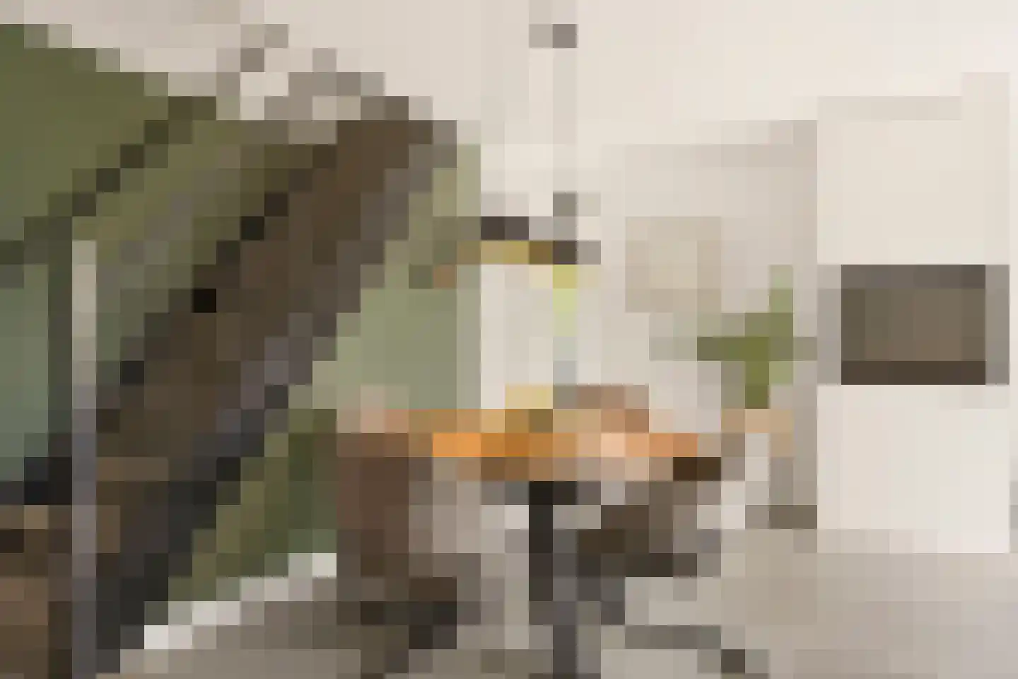 Albert van Dalsumlaan 97 Arnhem thumbnail 13