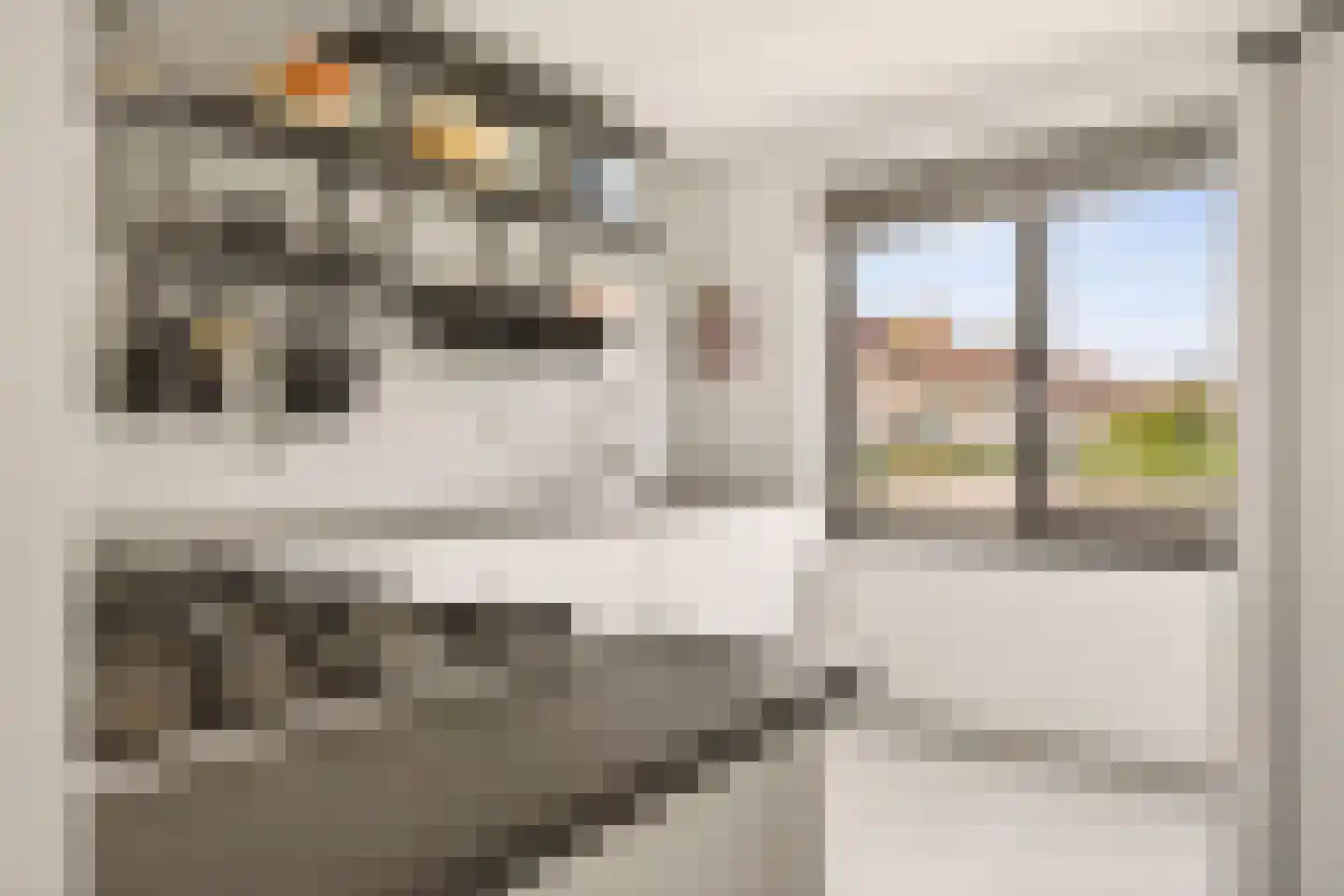 Albert van Dalsumlaan 97 Arnhem thumbnail 15
