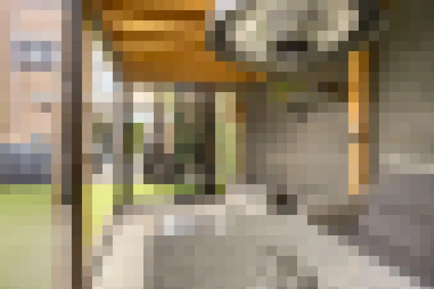 Albert van Dalsumlaan 97 Arnhem thumbnail 21