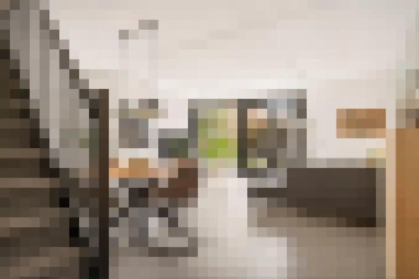 Albert van Dalsumlaan 97 Arnhem thumbnail 8
