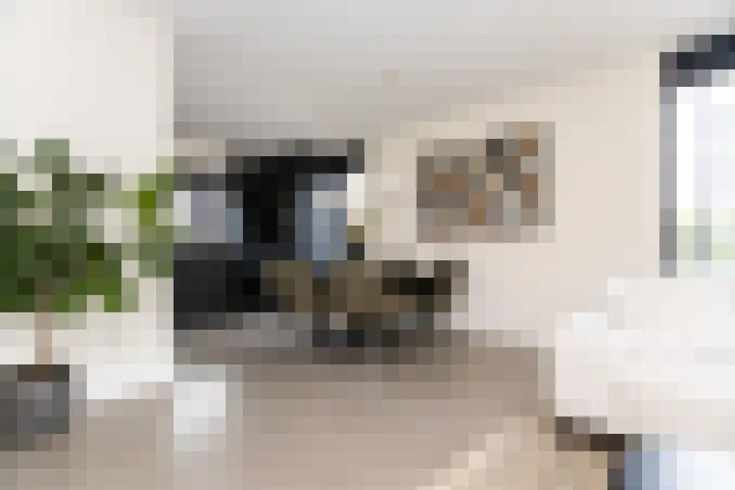 Albert van Damstraat 1 Zwaag thumbnail 12