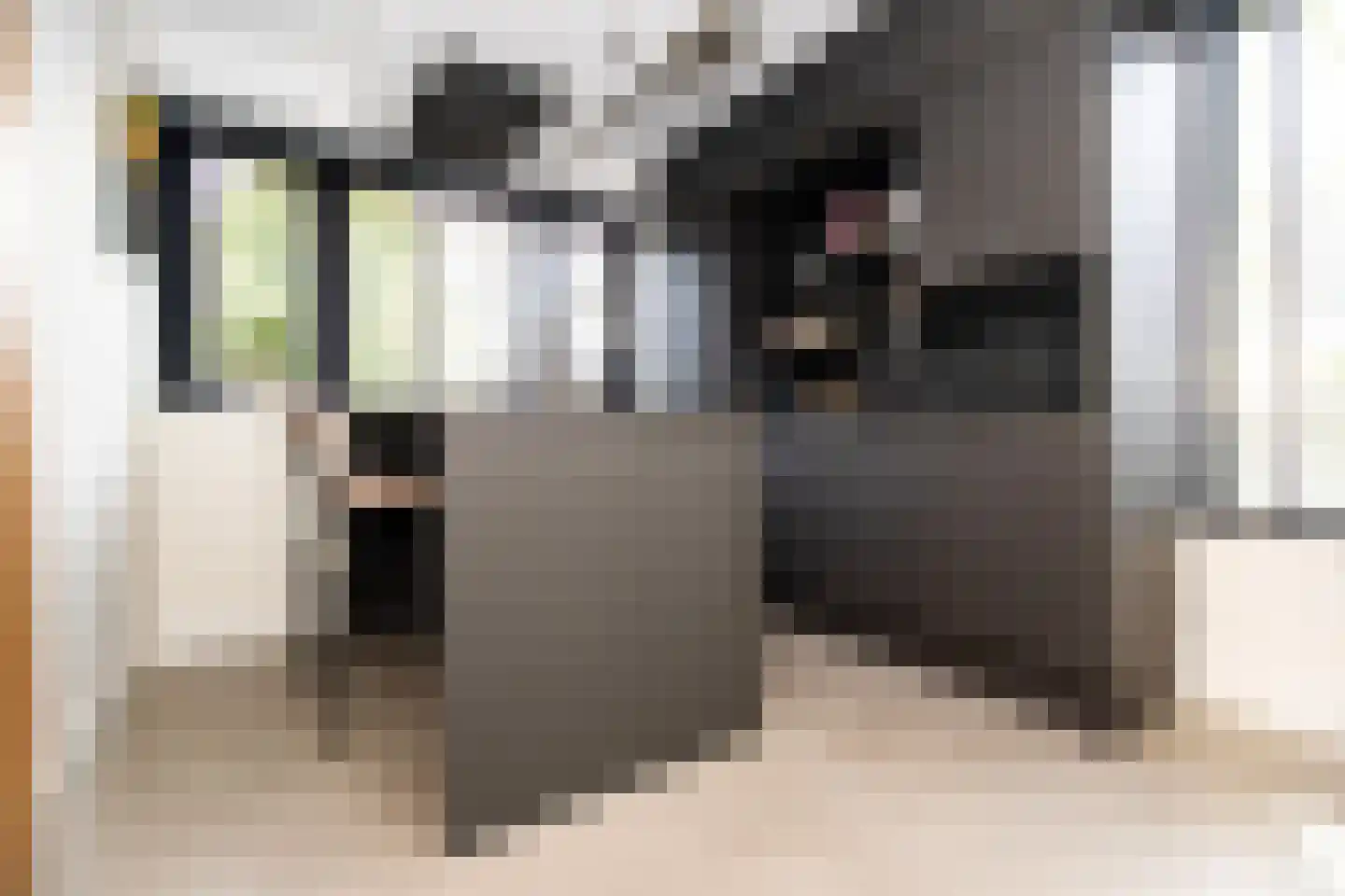 Albert van Damstraat 1 Zwaag thumbnail 16