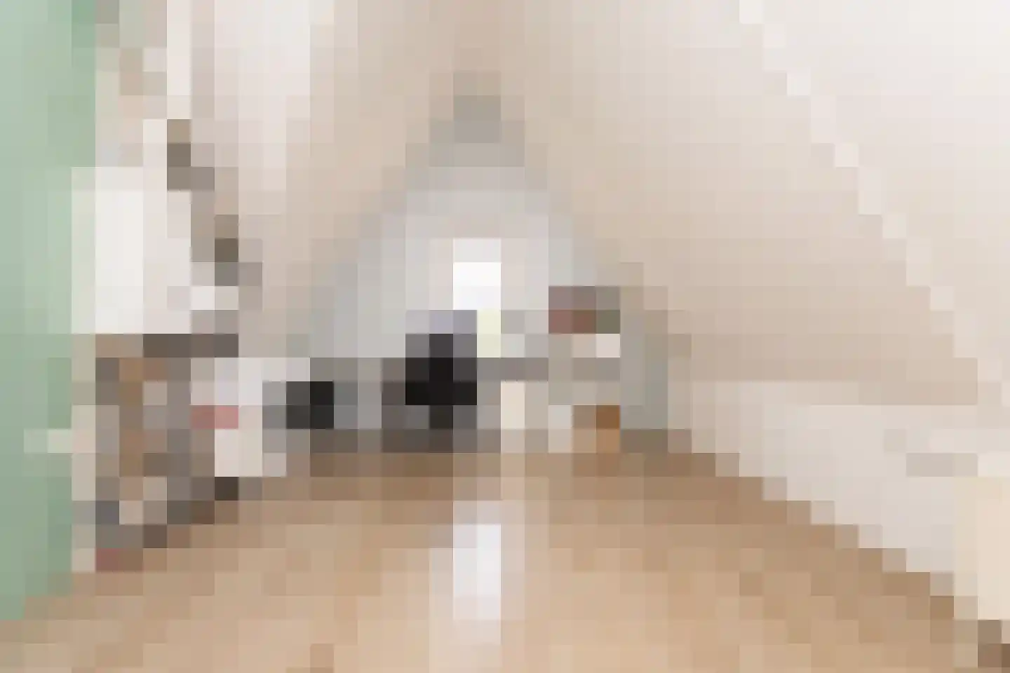 Albert van Damstraat 1 Zwaag thumbnail 33