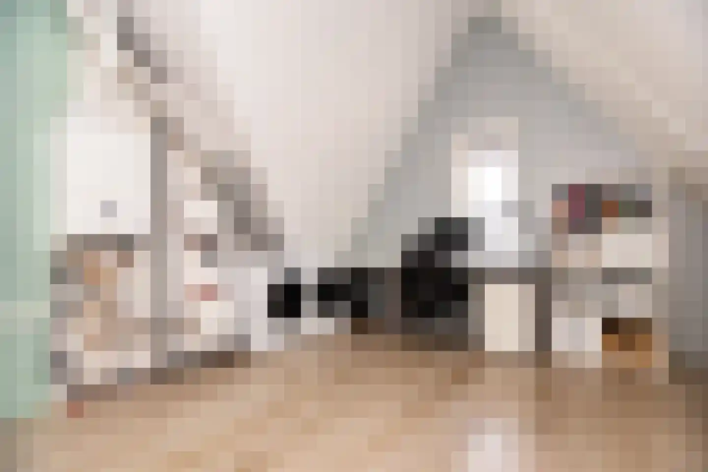 Albert van Damstraat 1 Zwaag thumbnail 34