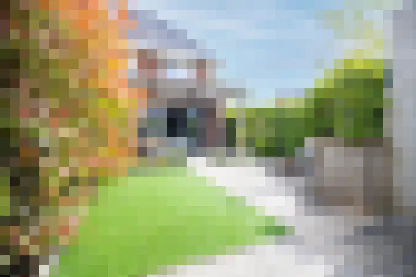 Albert van Damstraat 1 Zwaag thumbnail 36