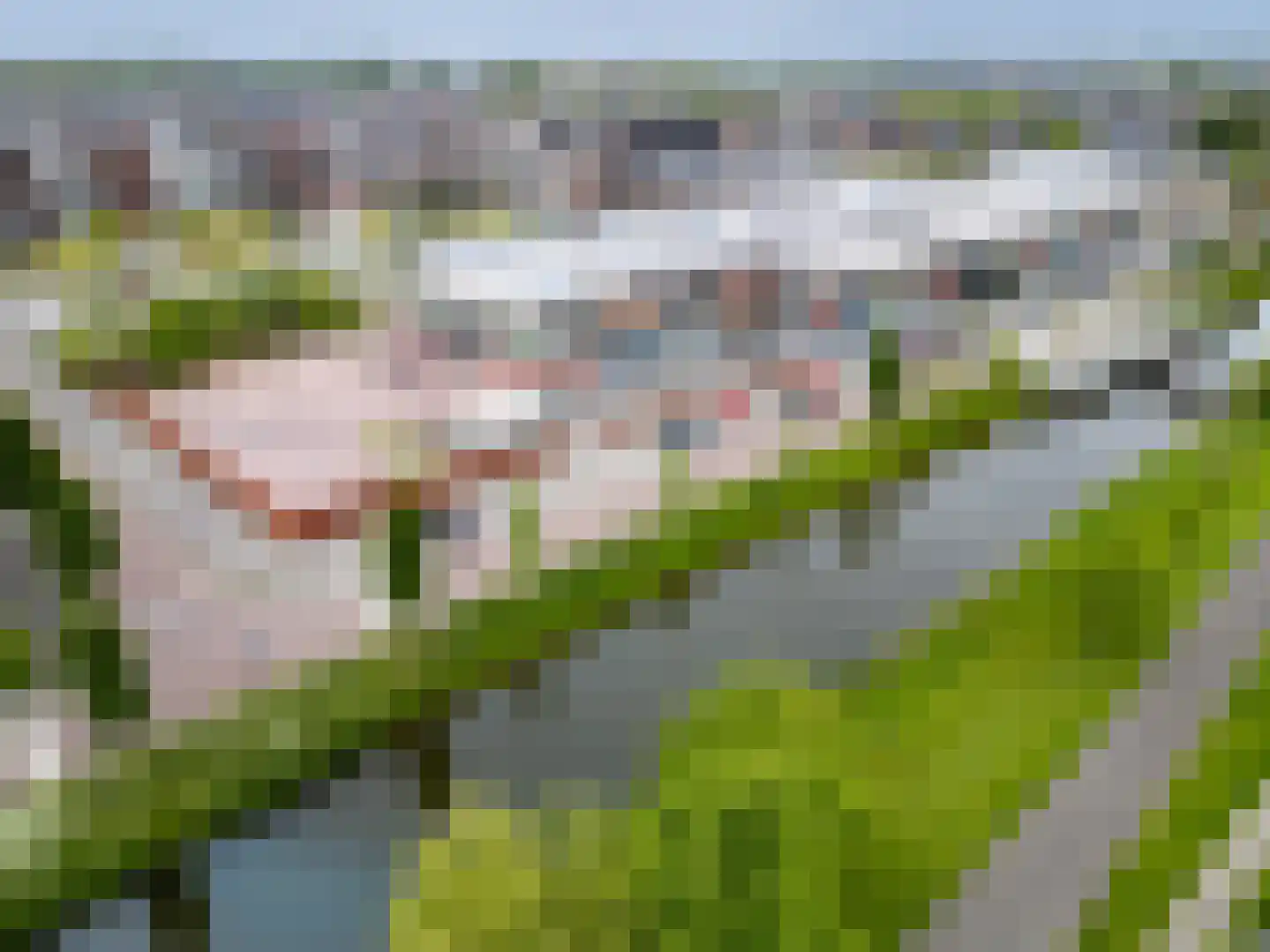 Albert van Damstraat 1 Zwaag thumbnail 48