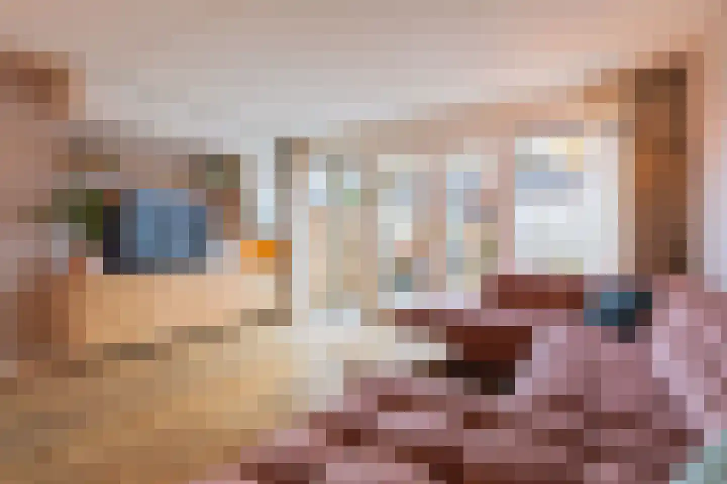 Albert van Damstraat 16 Zwaag thumbnail 11