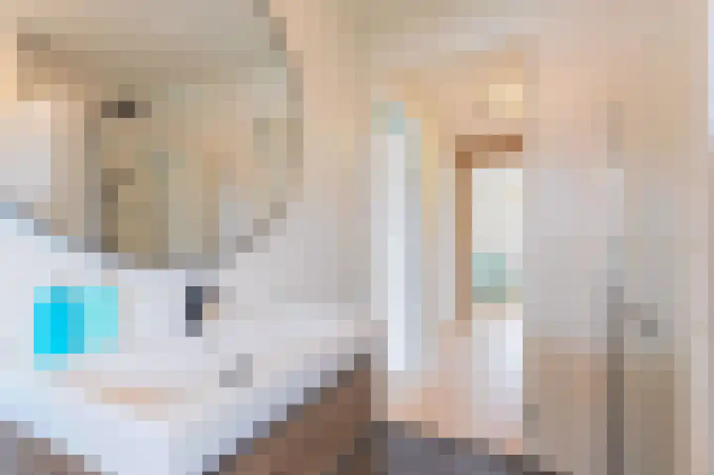 Albert van Damstraat 16 Zwaag thumbnail 37