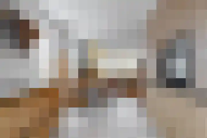 Albert van Damstraat 18 Zwaag thumbnail 13