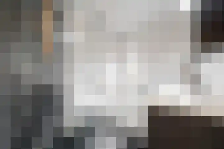 Albert van Damstraat 18 Zwaag thumbnail 16