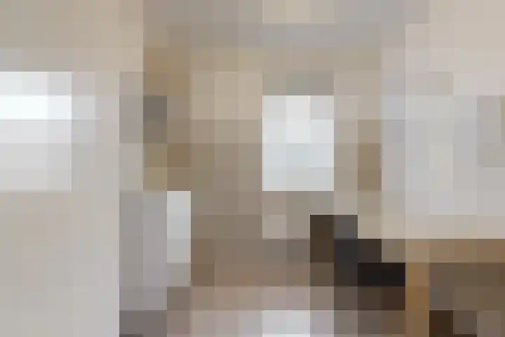 Albert van Damstraat 18 Zwaag thumbnail 19
