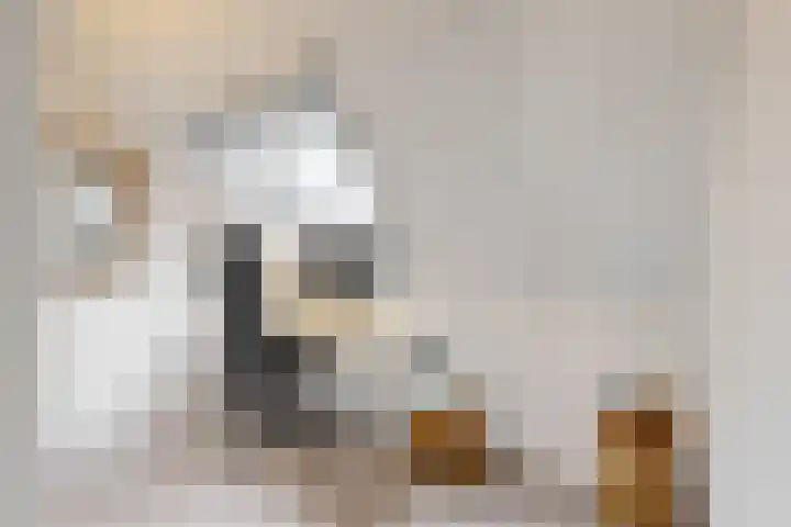 Albert van Damstraat 18 Zwaag thumbnail 26