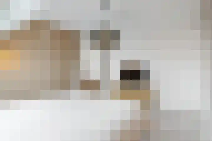 Albert van Damstraat 18 Zwaag thumbnail 29