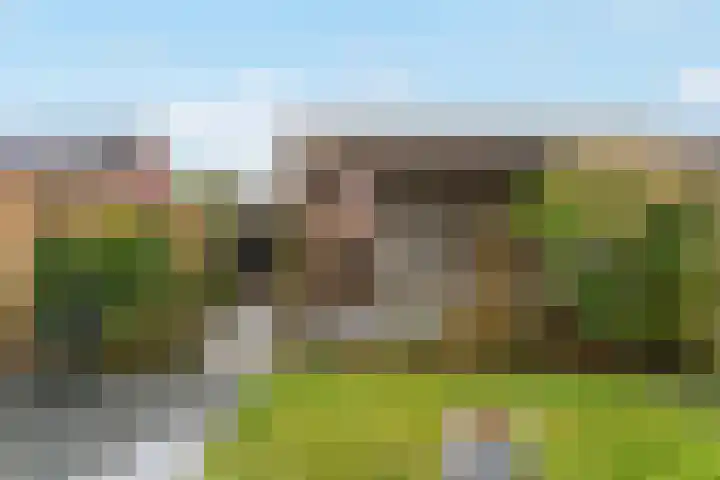 Albert van Damstraat 18 Zwaag thumbnail 31