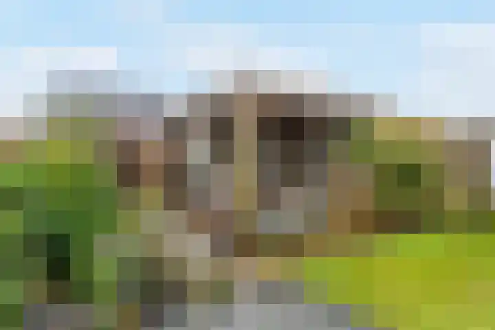 Albert van Damstraat 18 Zwaag thumbnail 34