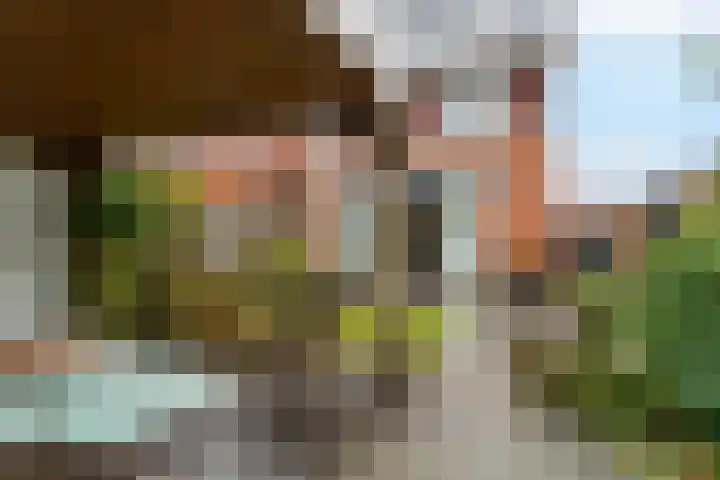 Albert van Damstraat 18 Zwaag thumbnail 35