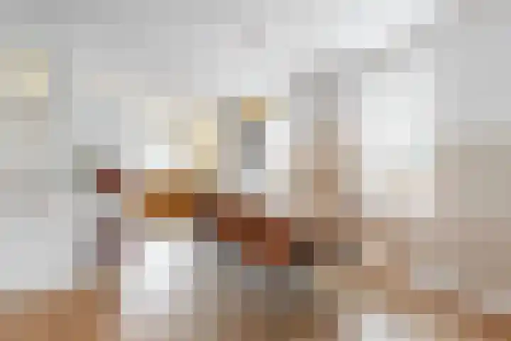 Albert van Damstraat 18 Zwaag thumbnail 4