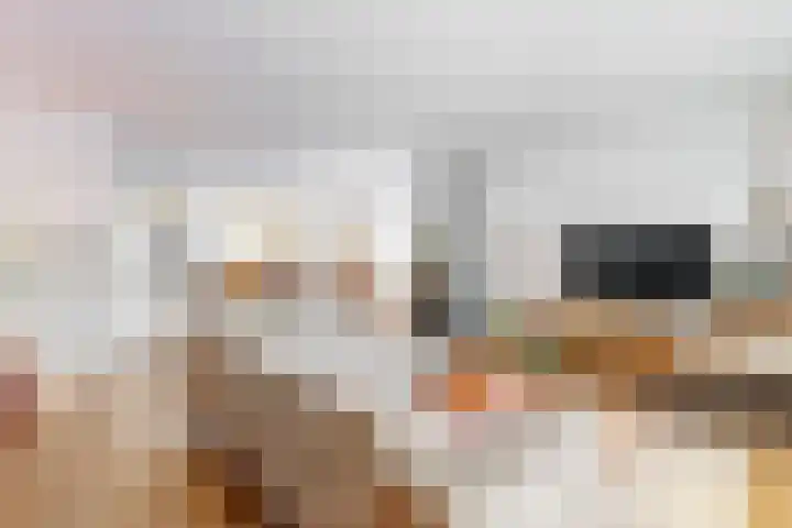 Albert van Damstraat 18 Zwaag thumbnail 6