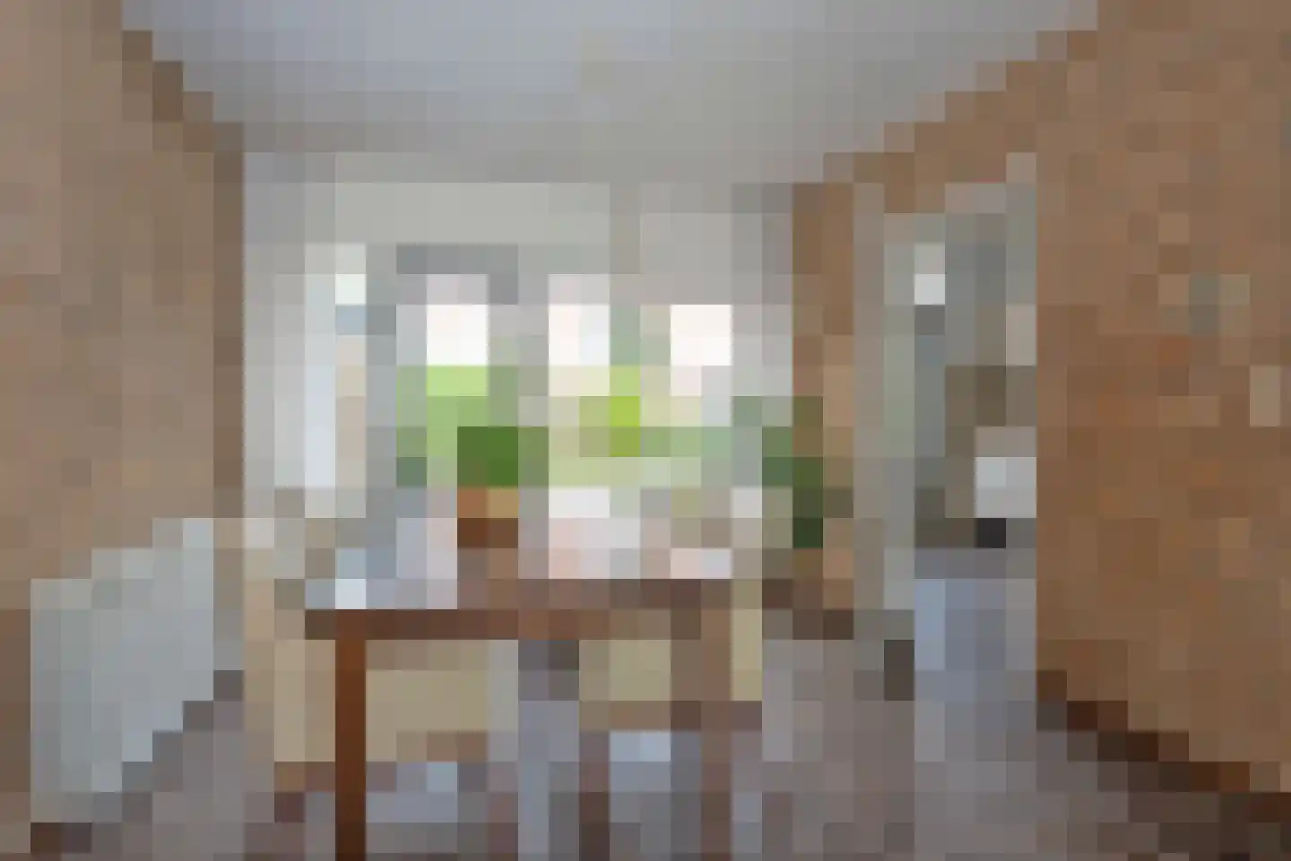Albert van der Meerstraat 42 Hengelo thumbnail 11