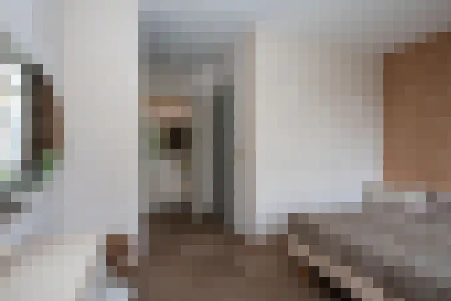 Albert van der Meerstraat 42 Hengelo thumbnail 17