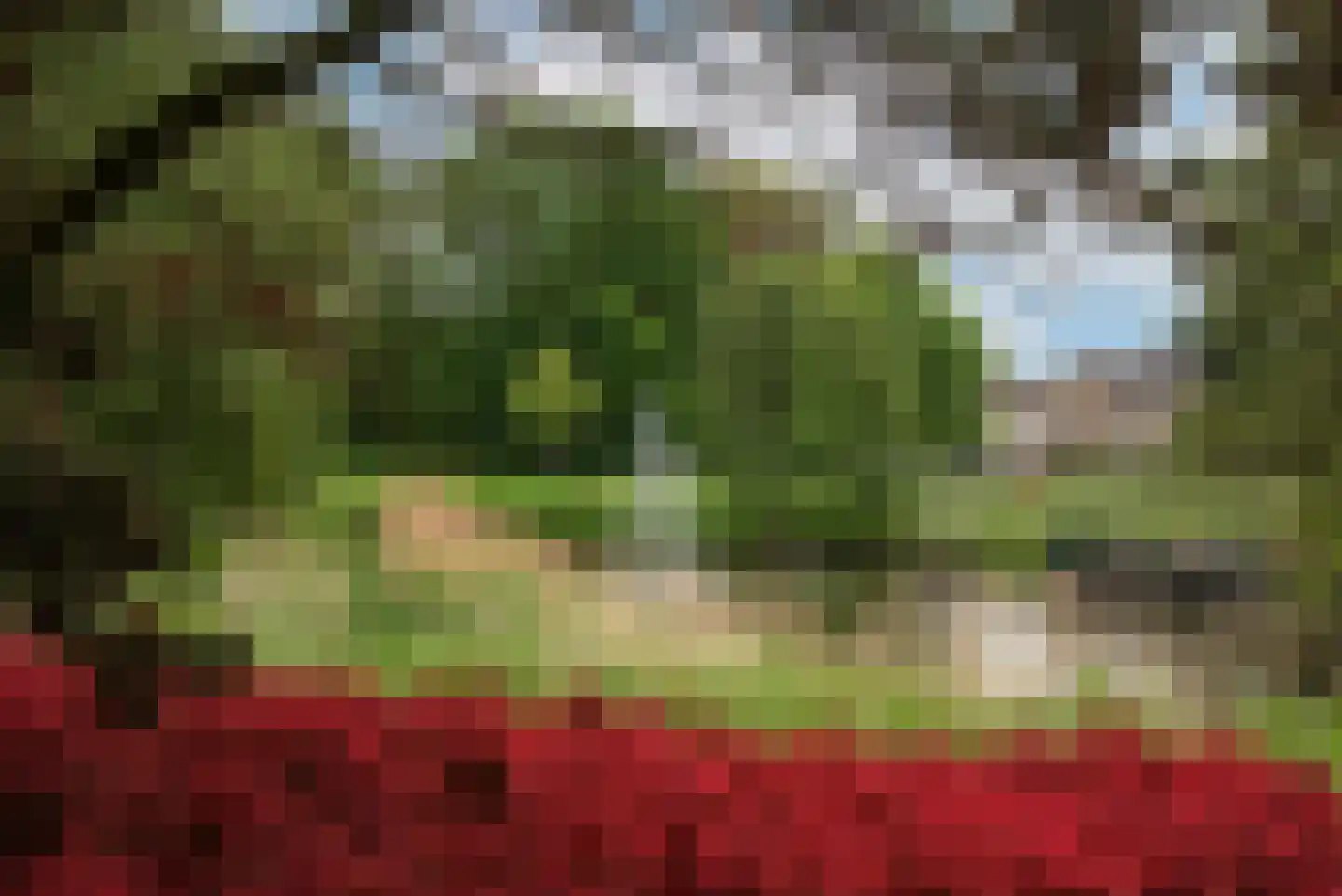 Albert van der Meerstraat 42 Hengelo thumbnail 39