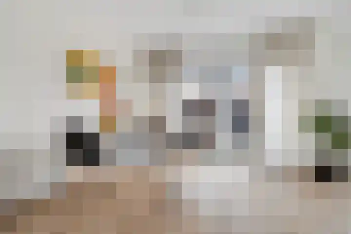 Albert van der Meerstraat 50 Hengelo thumbnail 11