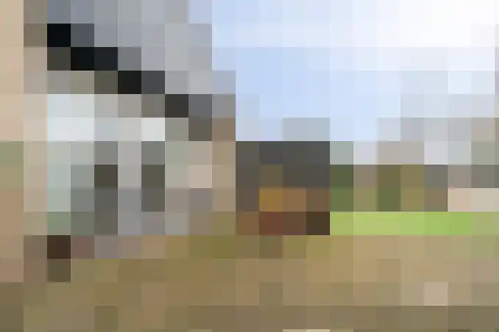 Albert van der Meerstraat 50 Hengelo thumbnail 37