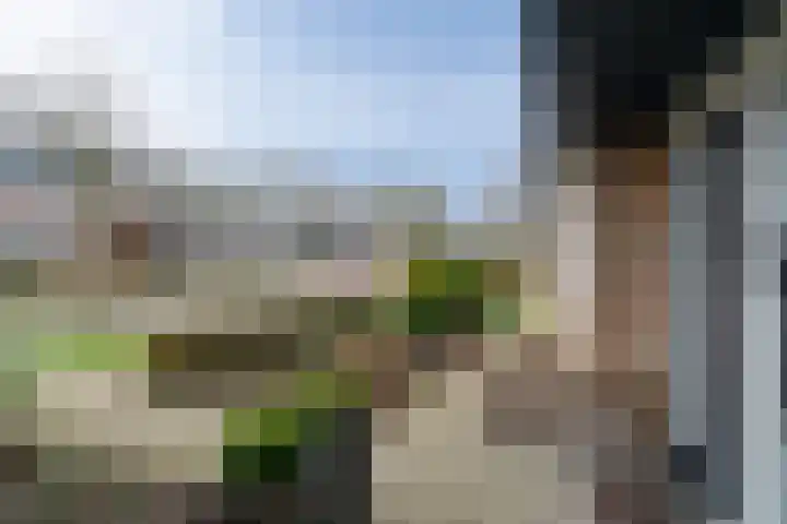 Albert van der Meerstraat 50 Hengelo thumbnail 39