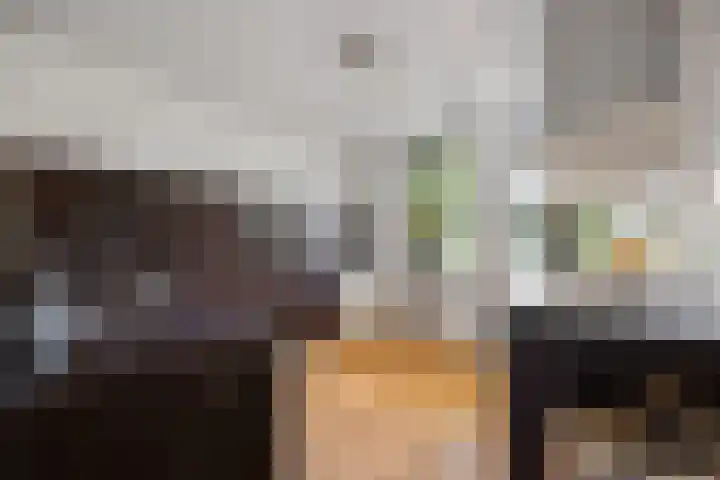 Albert van Meerveldstraat 57 Zwartebroek thumbnail 13
