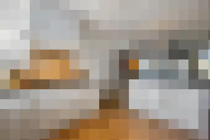 Albert van Meerveldstraat 57 Zwartebroek thumbnail 14