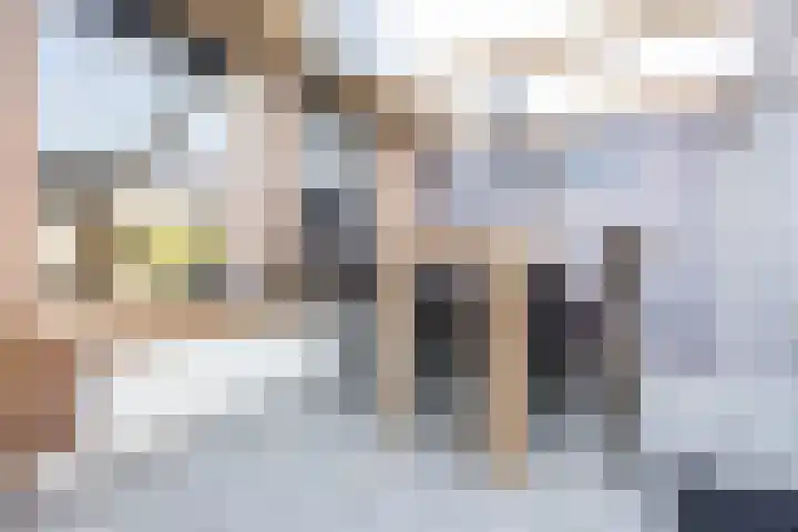 Albert van Meerveldstraat 57 Zwartebroek thumbnail 30