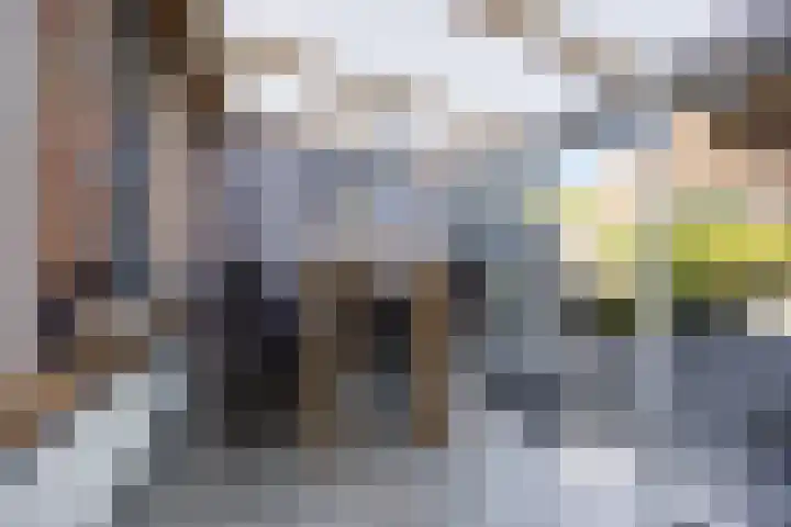 Albert van Meerveldstraat 57 Zwartebroek thumbnail 31
