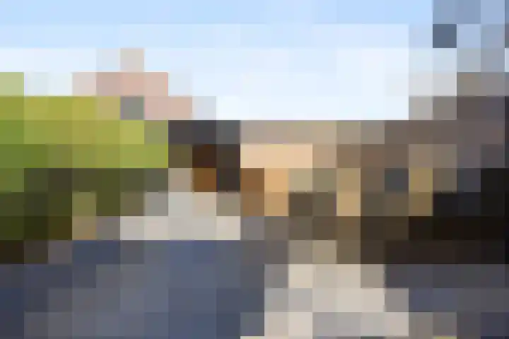 Albert van Meerveldstraat 57 Zwartebroek thumbnail 33