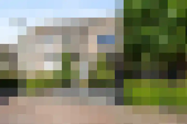 Albert van Meerveldstraat 57 Zwartebroek thumbnail 38