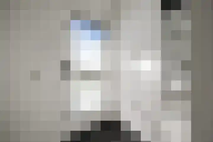 Albert van Meerveldstraat 57 Zwartebroek thumbnail 5
