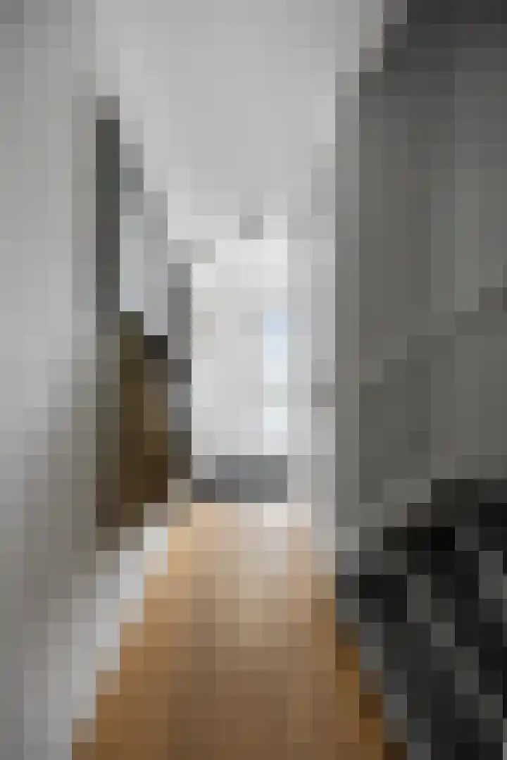 Albert van Meerveldstraat 57 Zwartebroek thumbnail 6