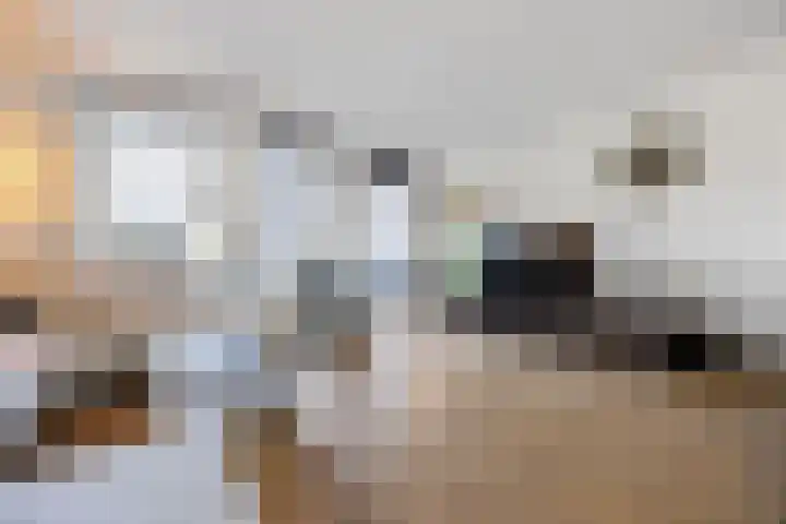Albert van Meerveldstraat 57 Zwartebroek thumbnail 8