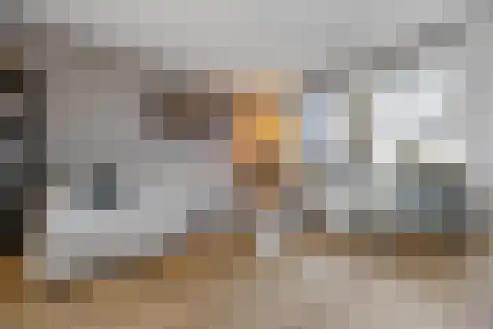 Albert van Meerveldstraat 57 Zwartebroek thumbnail 9