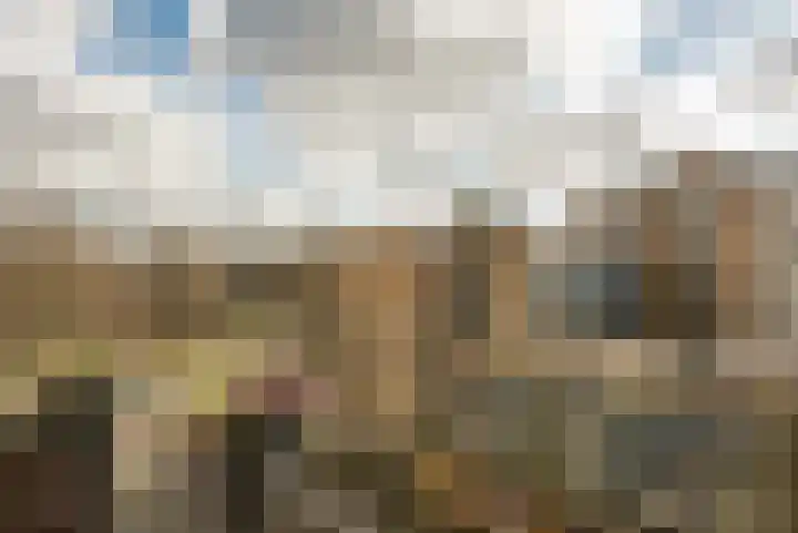 Albert van Raalteplein 140 Schiedam thumbnail 19