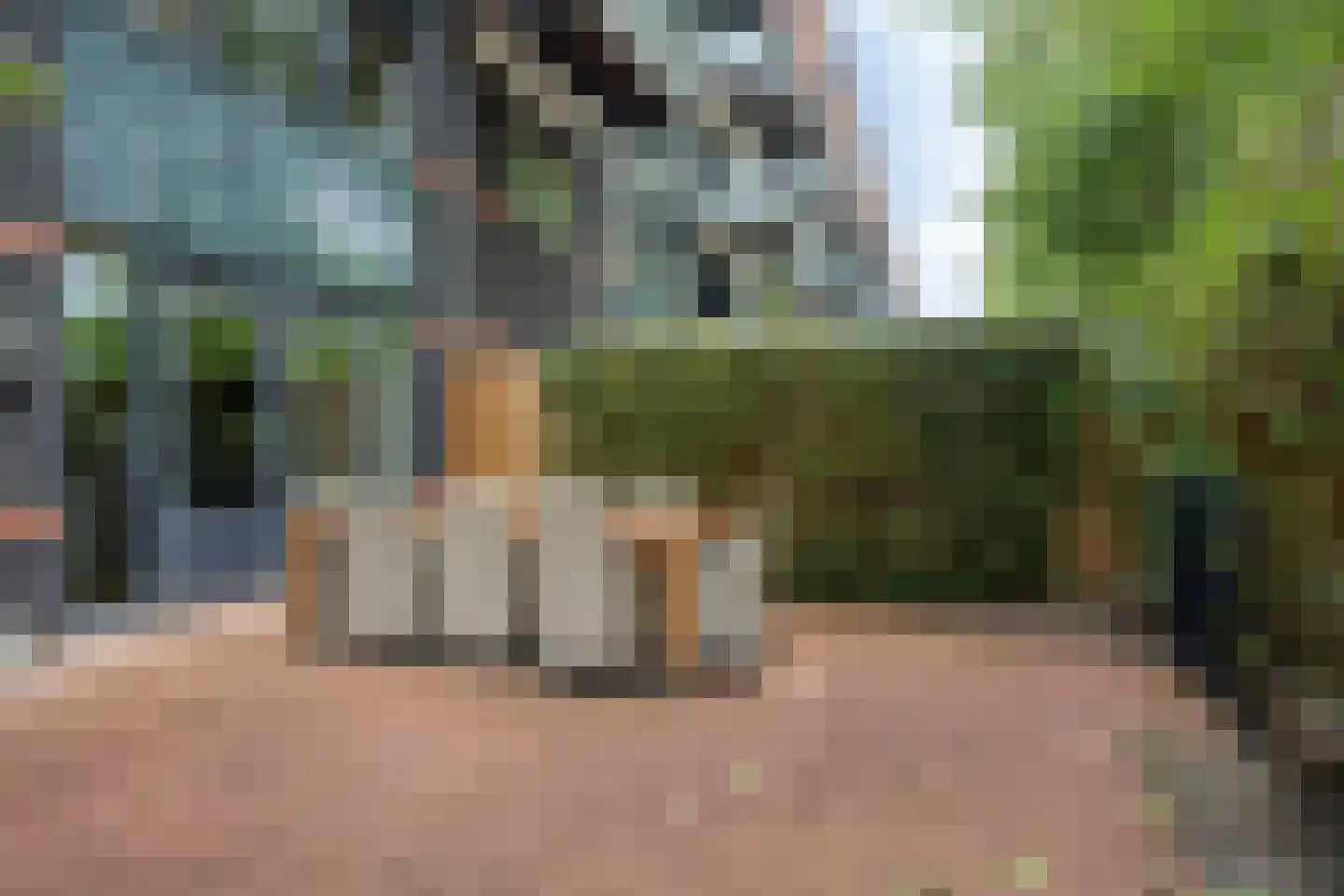 Albert van Raalteplein 61 Schiedam thumbnail 38