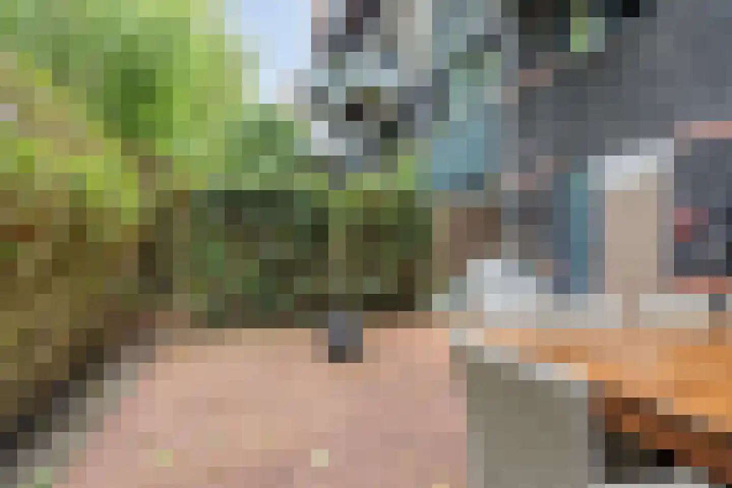 Albert van Raalteplein 61 Schiedam thumbnail 39