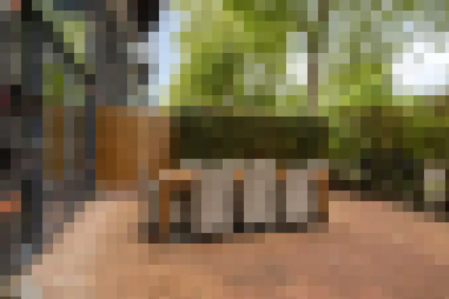 Albert van Raalteplein 61 Schiedam thumbnail 41