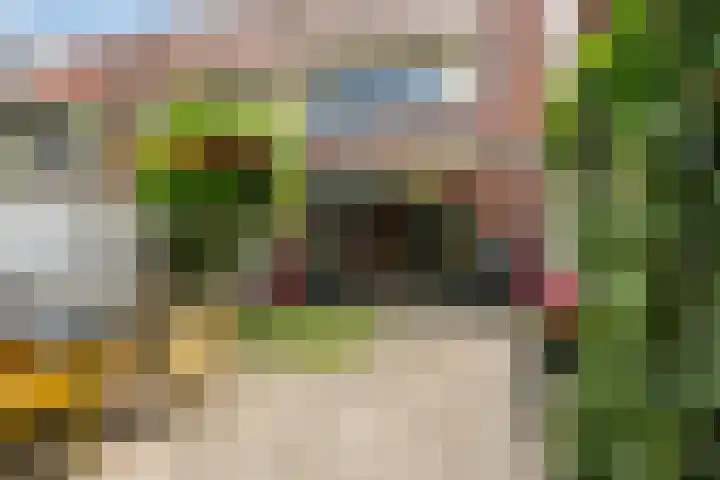 Albert van Schoonhovenlaan 21 Wateringen thumbnail 12
