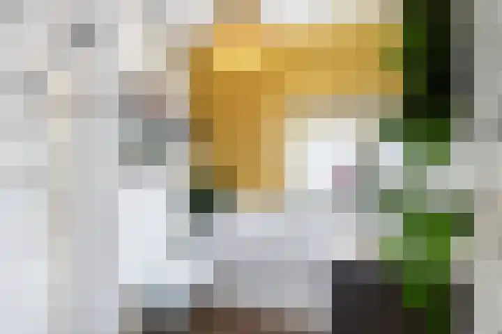 Albert van Schoonhovenlaan 21 Wateringen thumbnail 18
