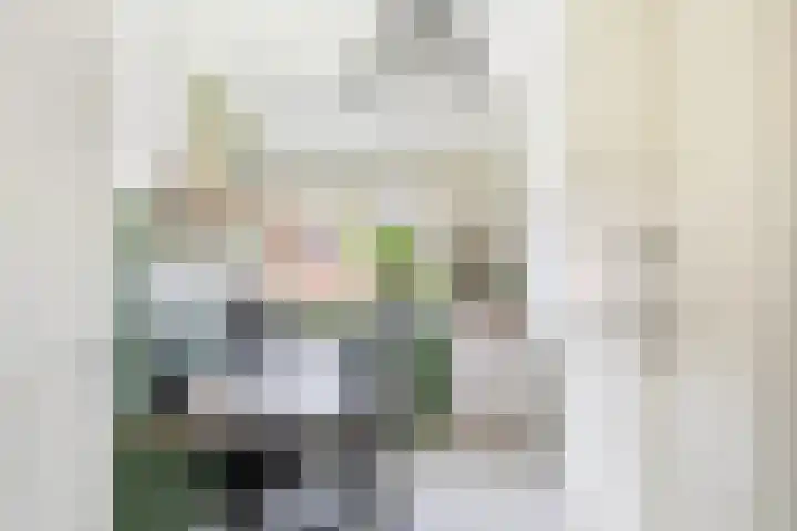 Albert van Schoonhovenlaan 21 Wateringen thumbnail 22